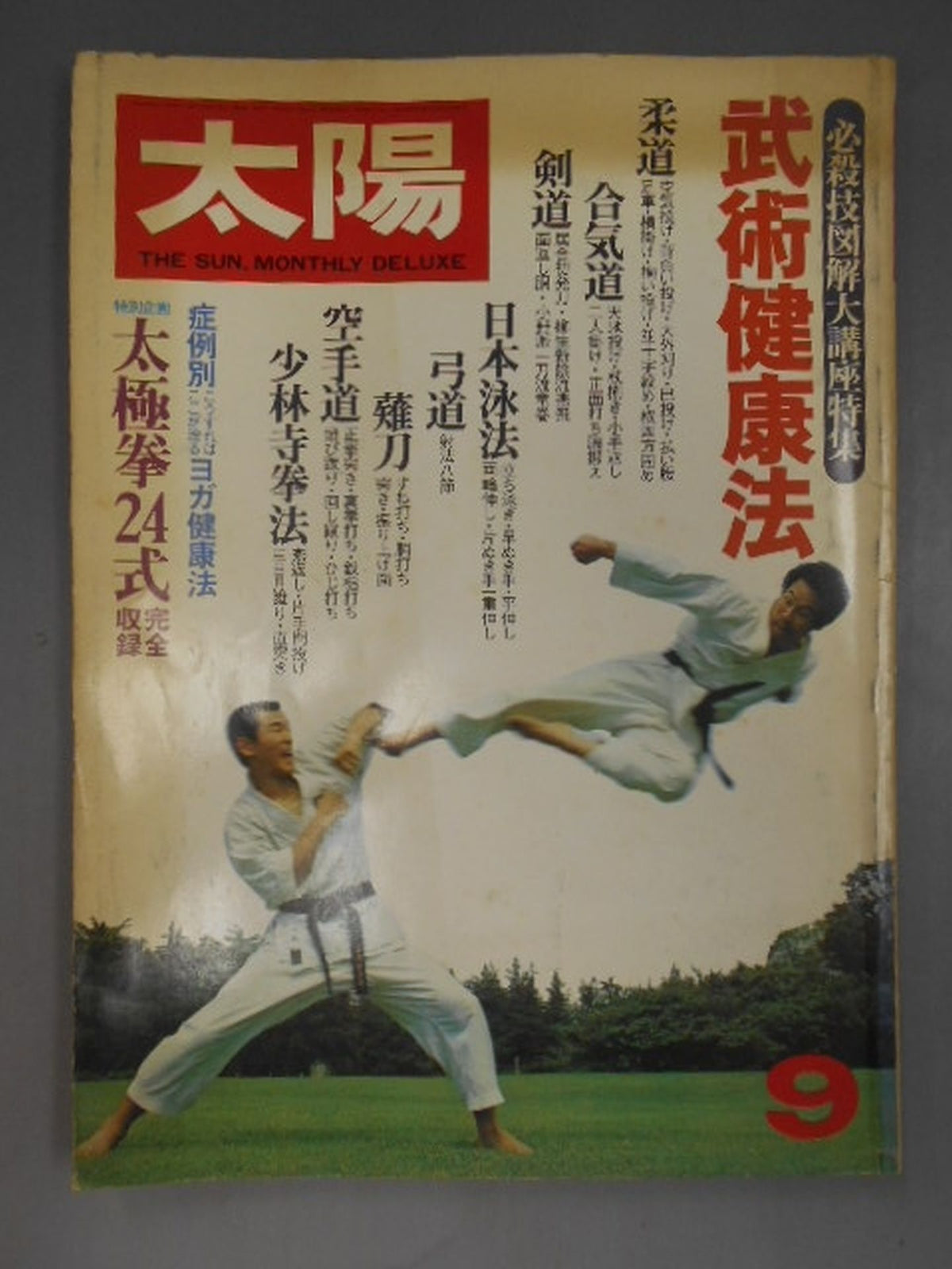 Sun'80 September Issue