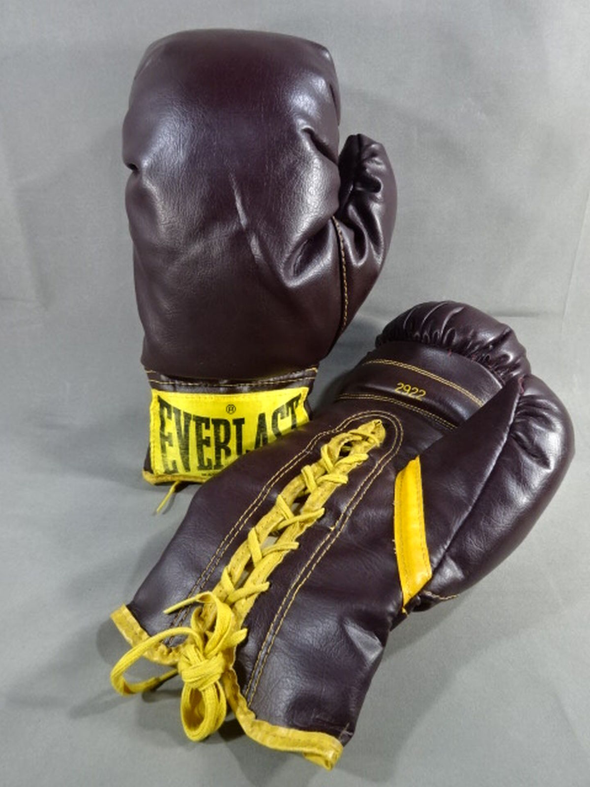 EVERLAST Boxing Gloves(1)