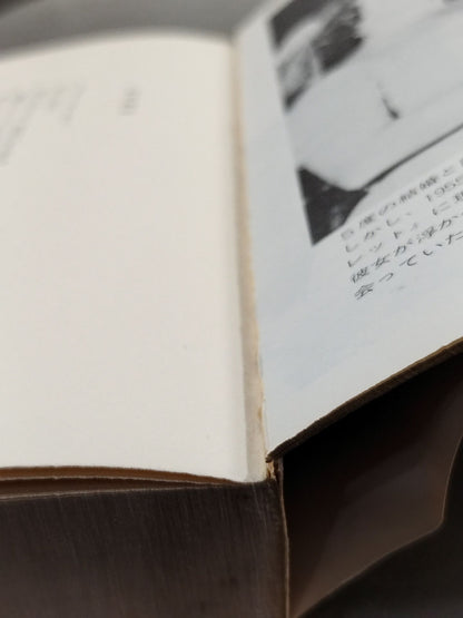 Mickey Walker's Autobiography: A Boxer Who Lived in Capone's Time
