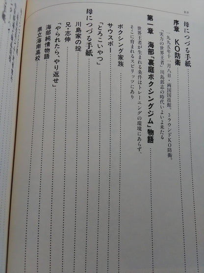 お母ちゃんに捧げる チャンピオンベルト V5を目指して