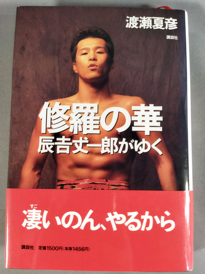 修羅の華 辰吉丈一郎がゆく
