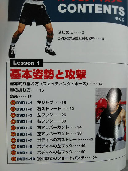 DVD Series: Boxing Perfect Master