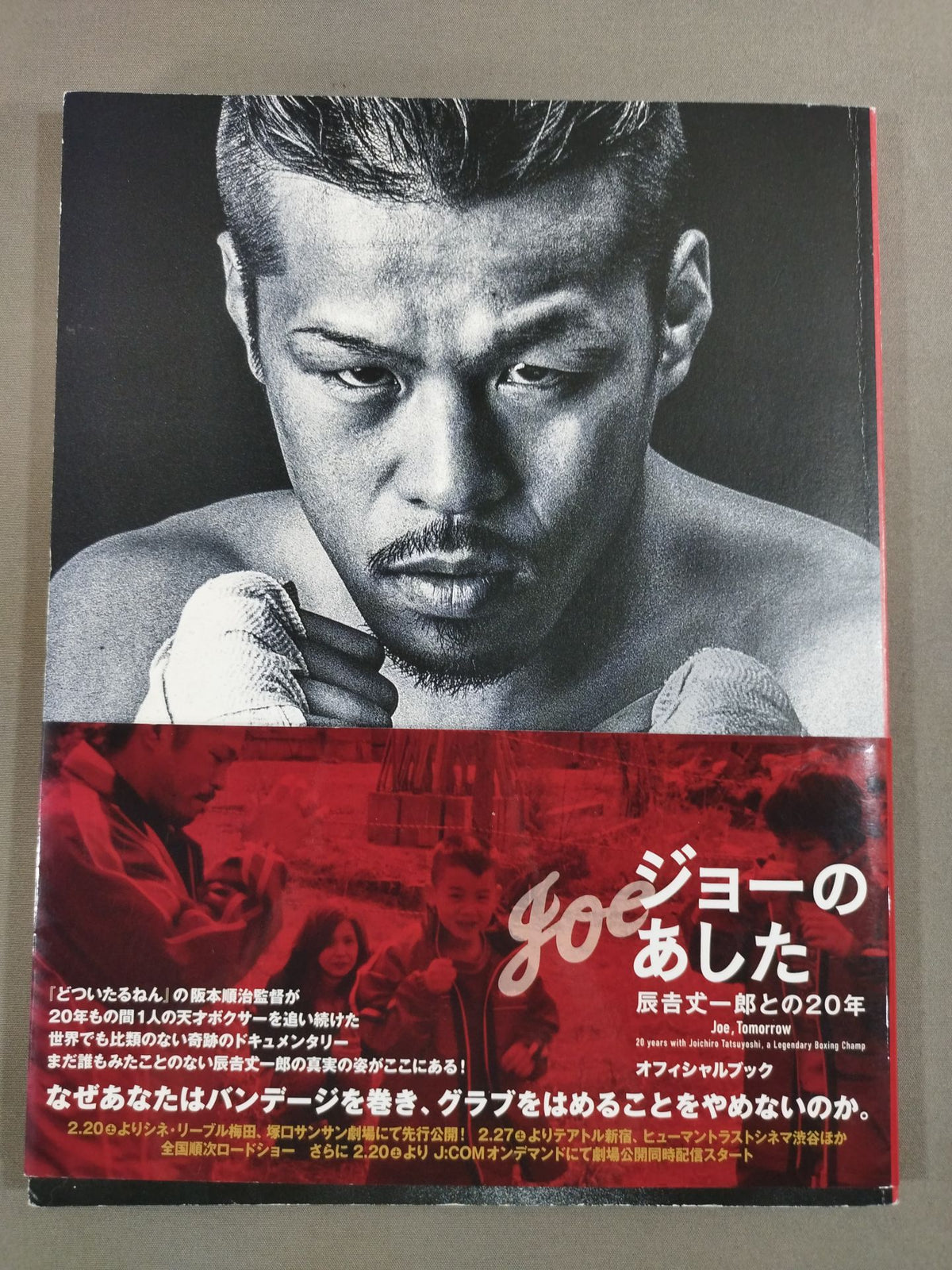 Joe's Tomorrow 20 Years with Joichiro Tatsuyoshi Official Book