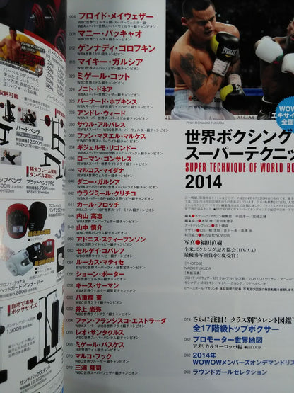 World Boxing Super Technique 2014 [100 times more interesting if you know it!]