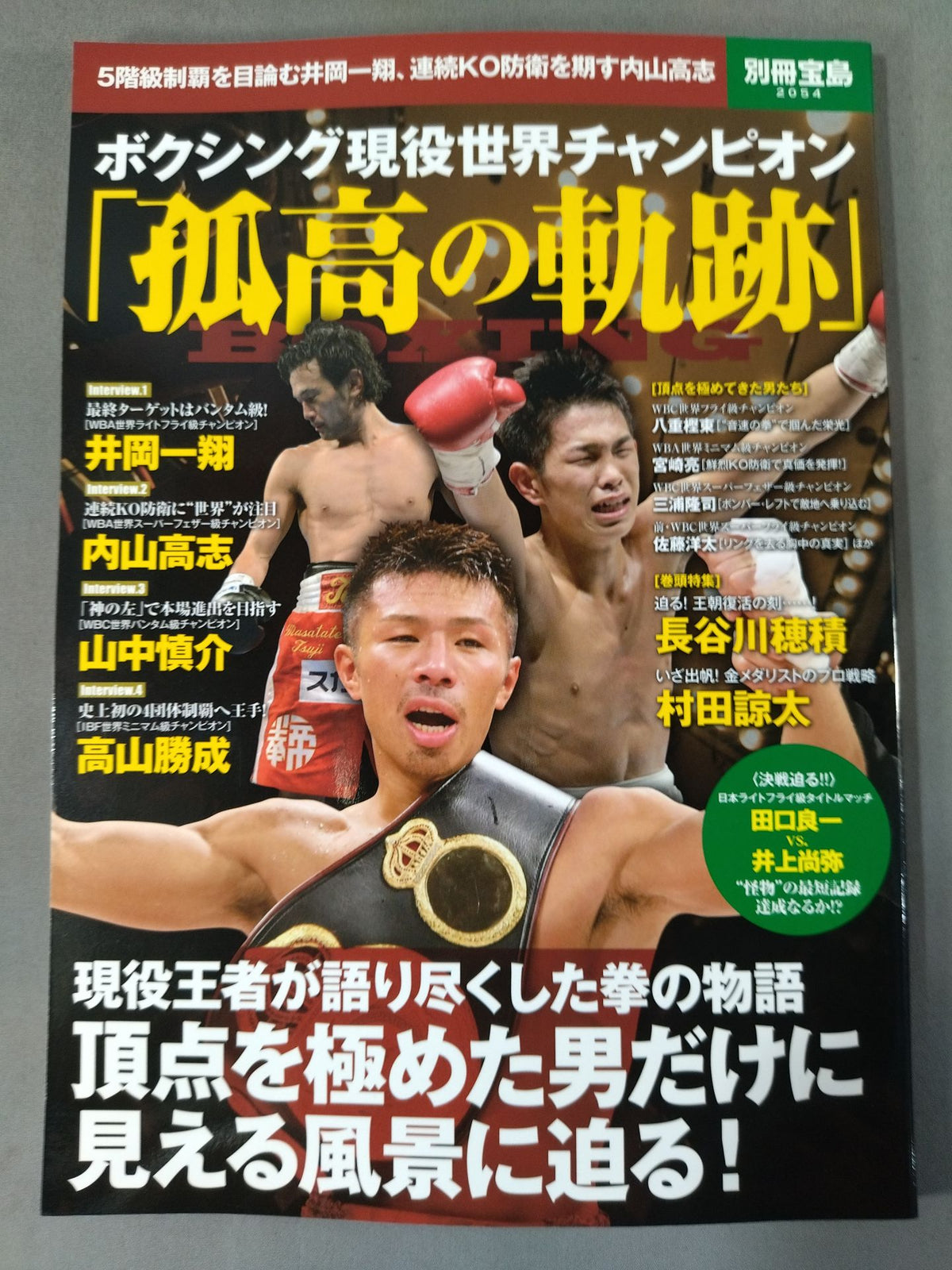別冊宝島2054 ボクシング現役世界チャンピオン「孤高の軌跡」