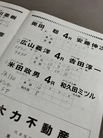 井岡弘樹vsハイメ・アリグィン