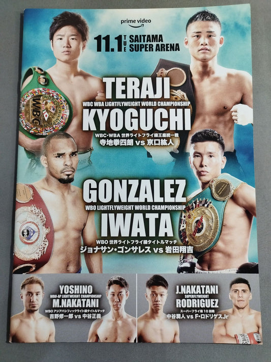 【WBA＆WBC統一戦】寺地拳四朗vs京口紘人