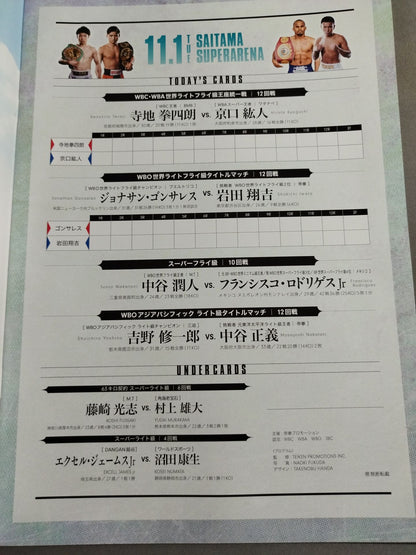 【WBA＆WBC統一戦】寺地拳四朗vs京口紘人