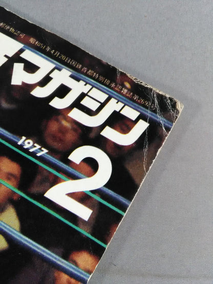 ボクシングマガジン66