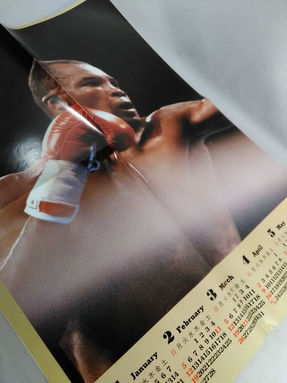 Boxing Magazine 240