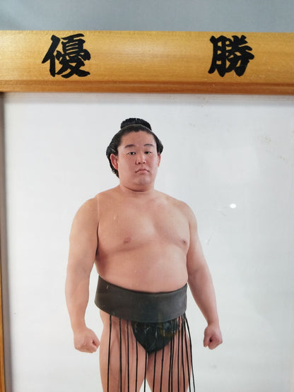 若花田 ミニチュア優勝額
