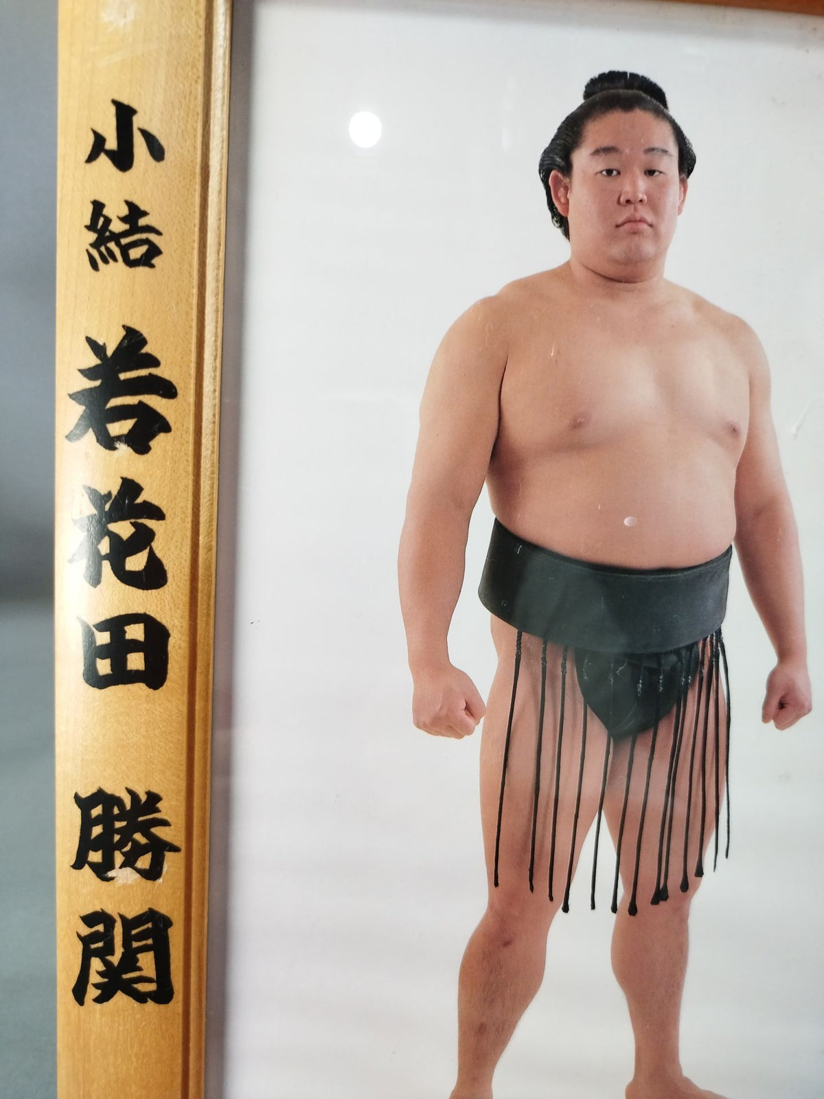 若花田 ミニチュア優勝額