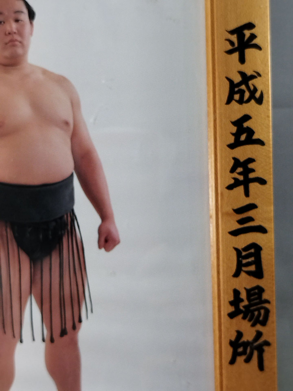 若花田 ミニチュア優勝額