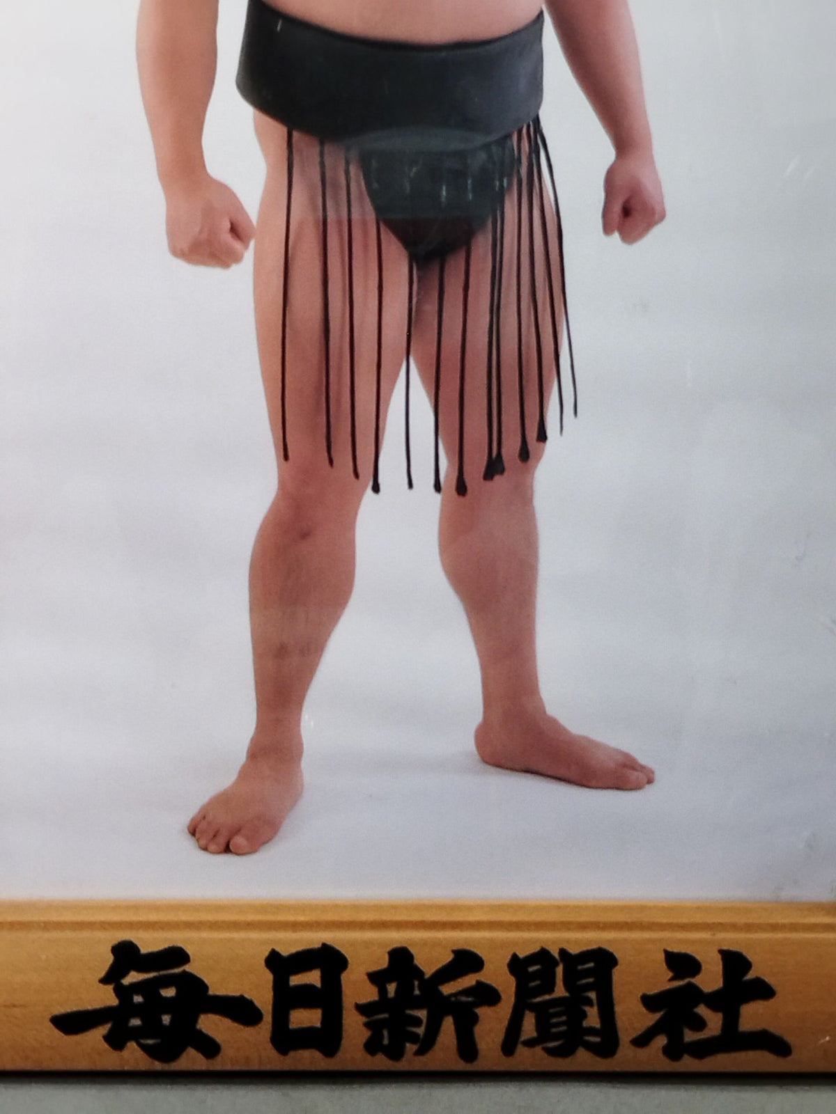 若花田 ミニチュア優勝額
