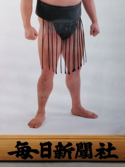 若花田 ミニチュア優勝額