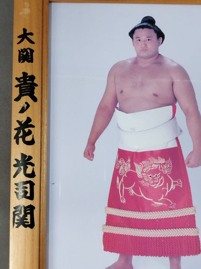 貴ノ花 ミニチュア優勝額④