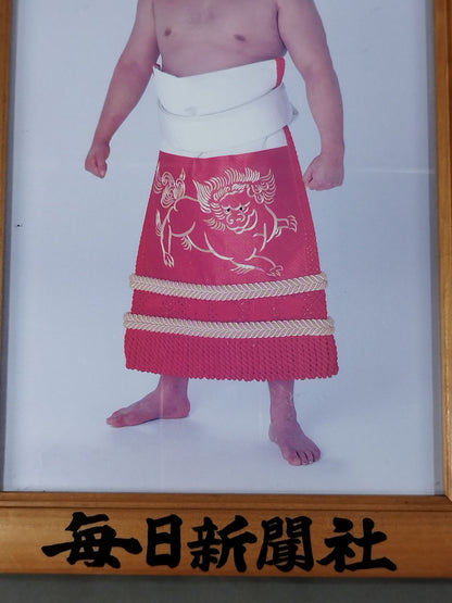貴ノ花 ミニチュア優勝額④