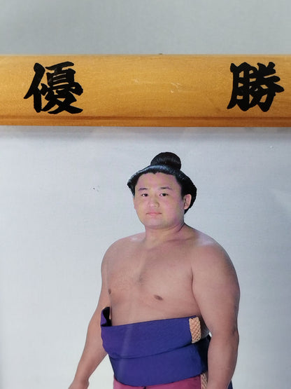貴ノ花 ミニチュア優勝額⑦