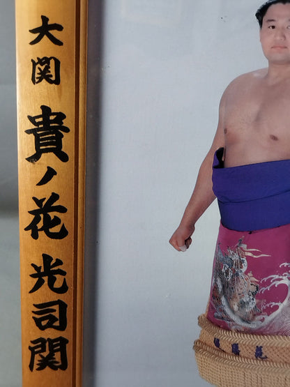 貴ノ花 ミニチュア優勝額⑦