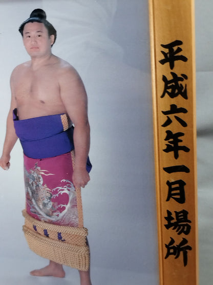 貴ノ花 ミニチュア優勝額⑦
