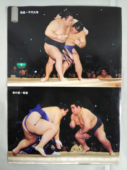 日本相撲協会 クリアファイル⑤