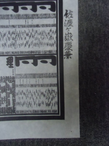 平成七年五月場所 番付表