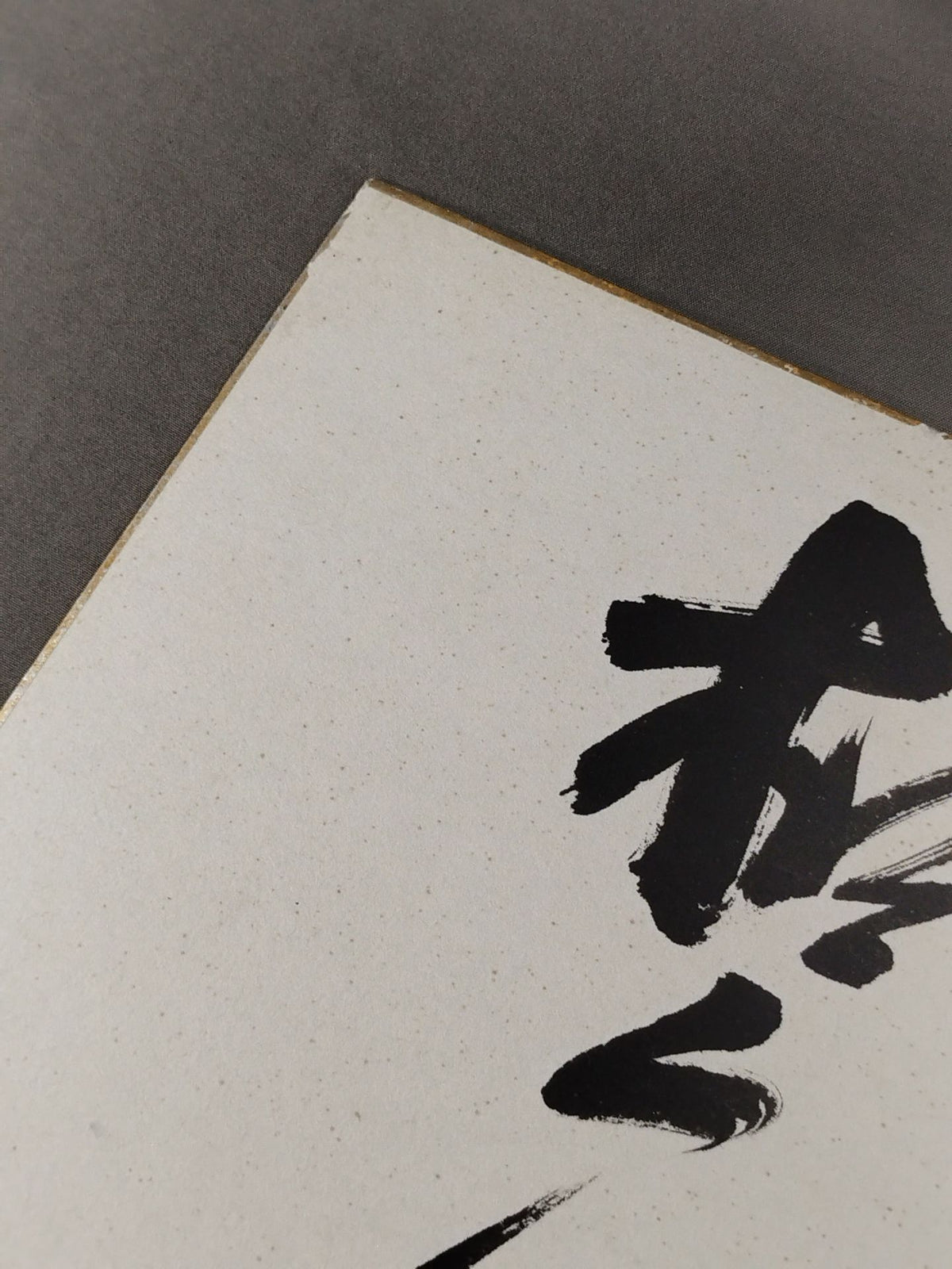 Kashiwado  Tsuyoshi