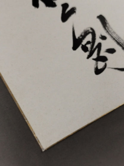 Kashiwado  Tsuyoshi