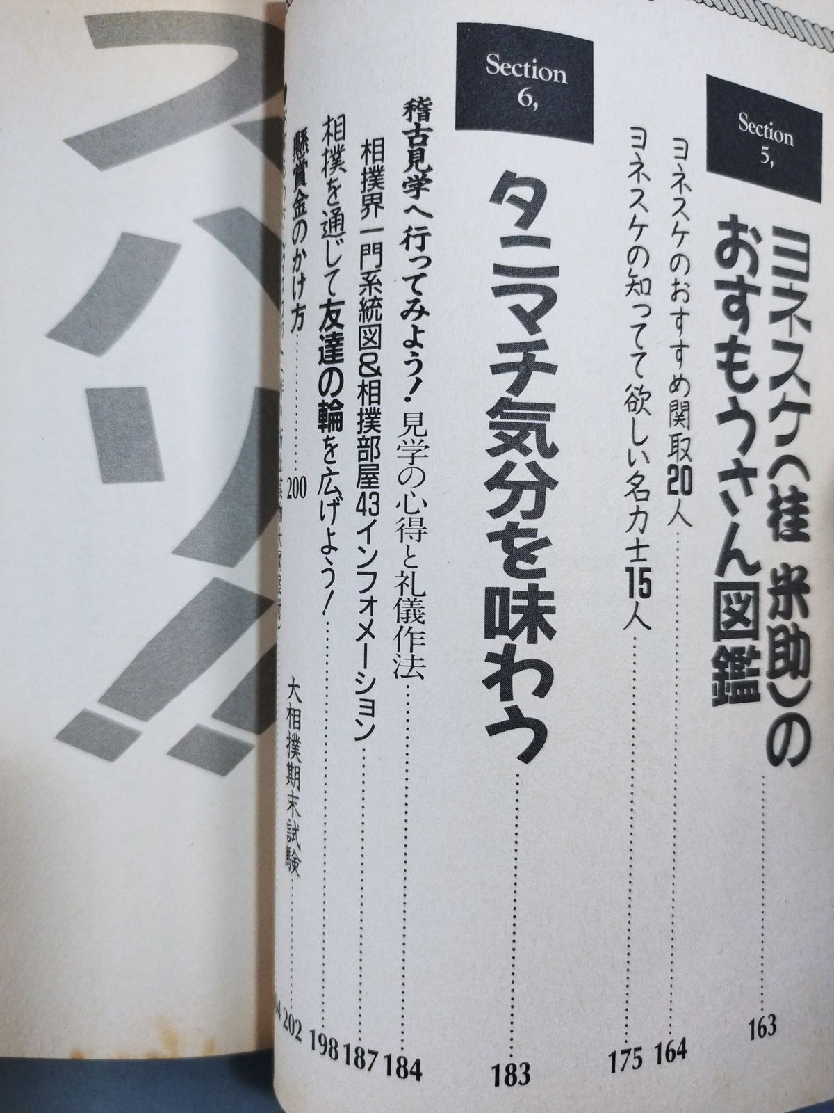 新・相撲のススメ