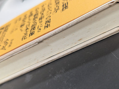 The Cosmology of Sumo: Sumo wrestlers who wield cursed energy