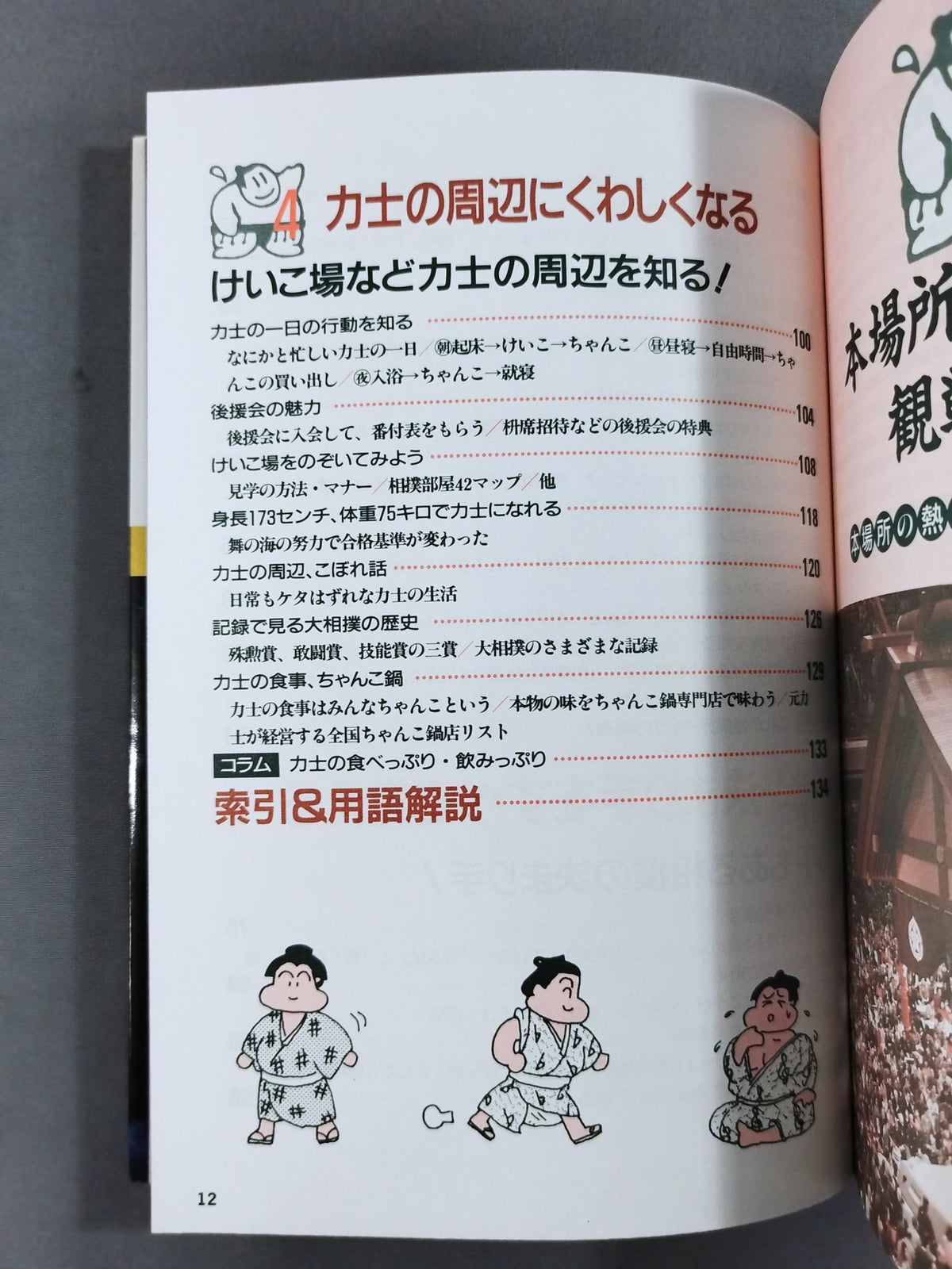 大相撲【スポーツ観戦シリーズ】