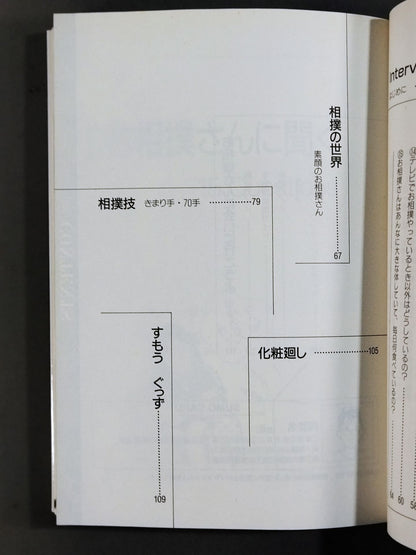 相撲はこう見るのが楽しい