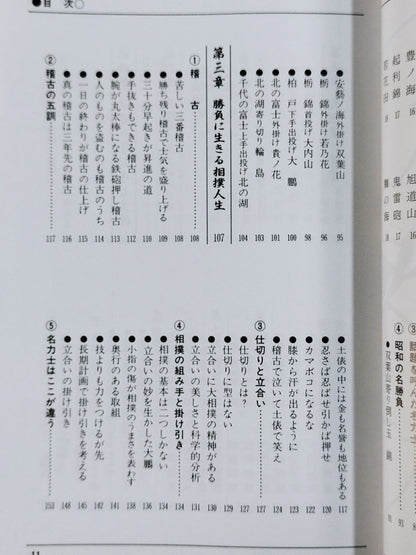 92～93年版 ザ大相撲
