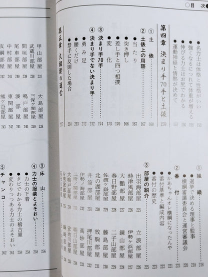 92～93年版 ザ大相撲