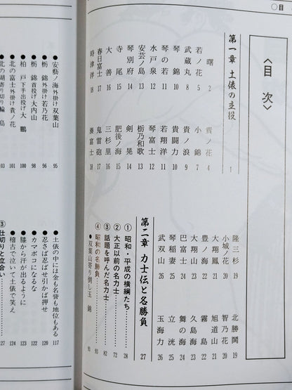 93～94年版 ザ大相撲