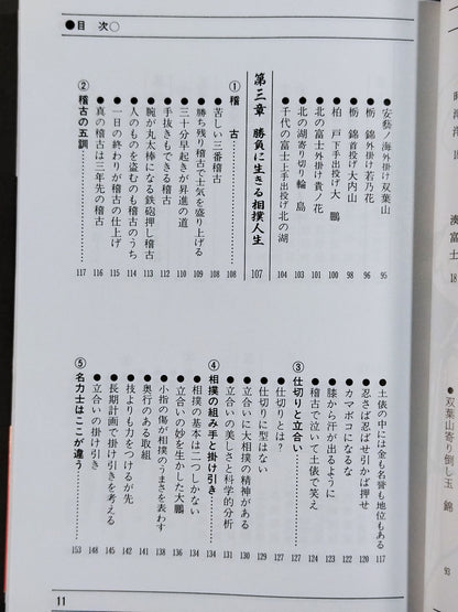 93～94年版 ザ大相撲