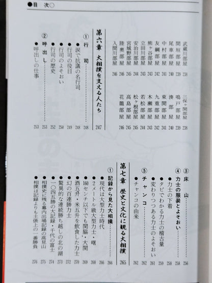 93～94年版 ザ大相撲