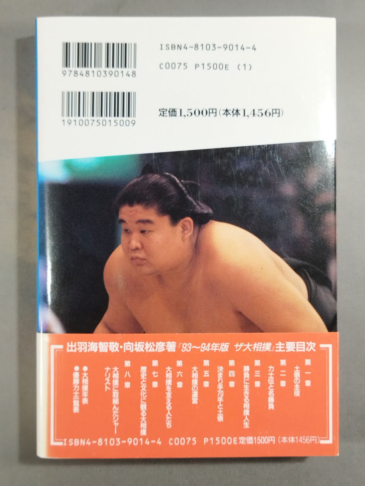 93～94年版 ザ大相撲