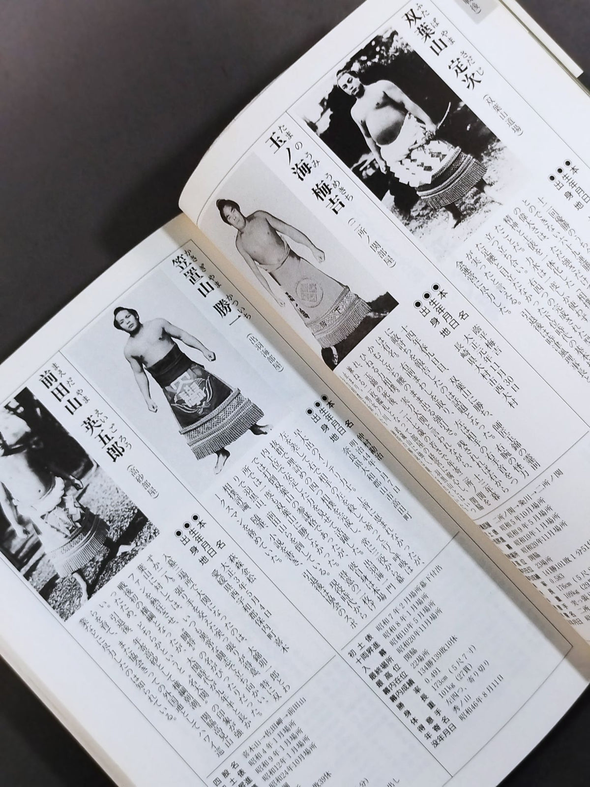 平成十年版 大相撲力士名鑑