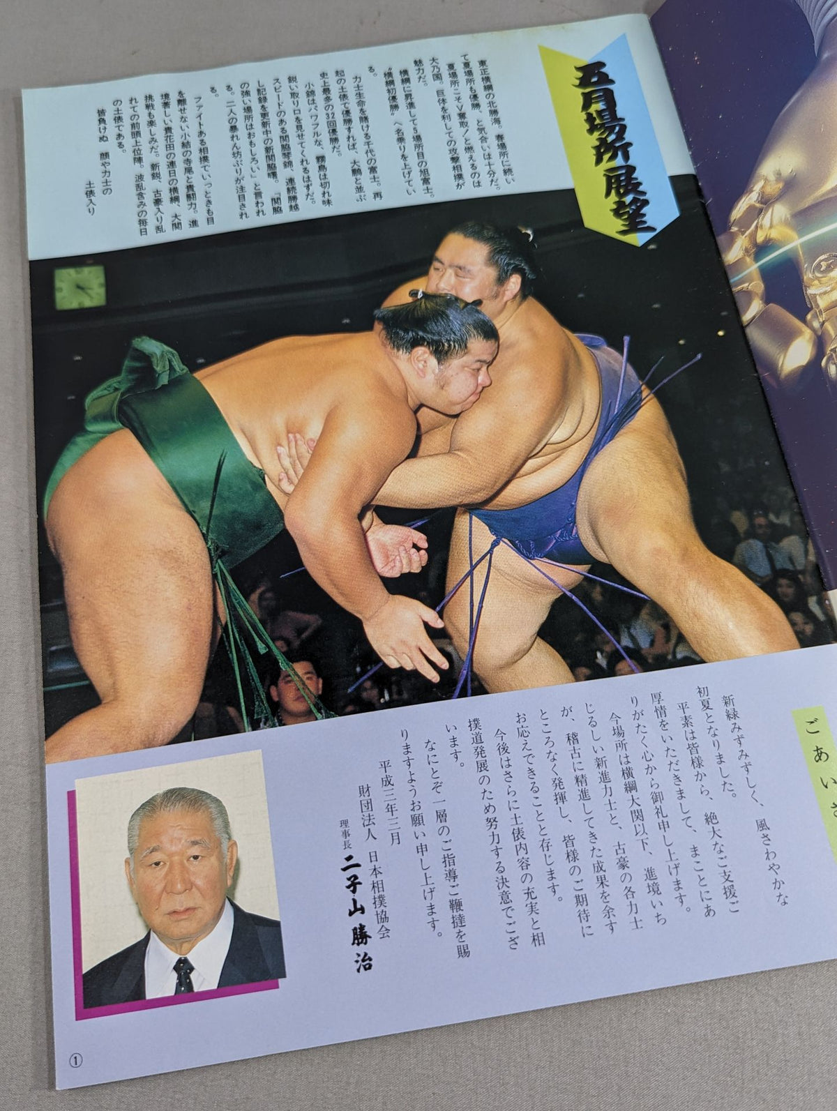 Grand Sumo May Place (1991)