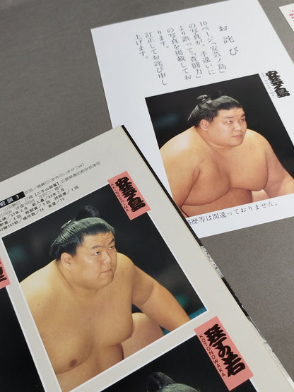 Sumo May Place (1994)