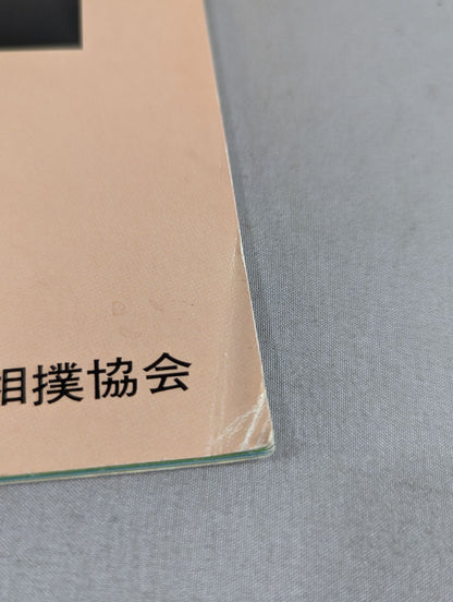 大相撲五月場所(1991年)