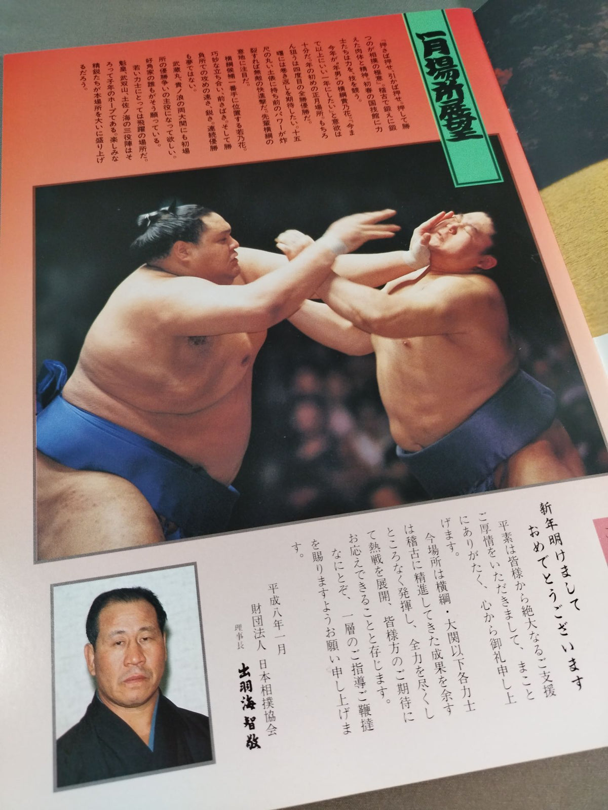 Grand sumo wrestling place in January (1996)