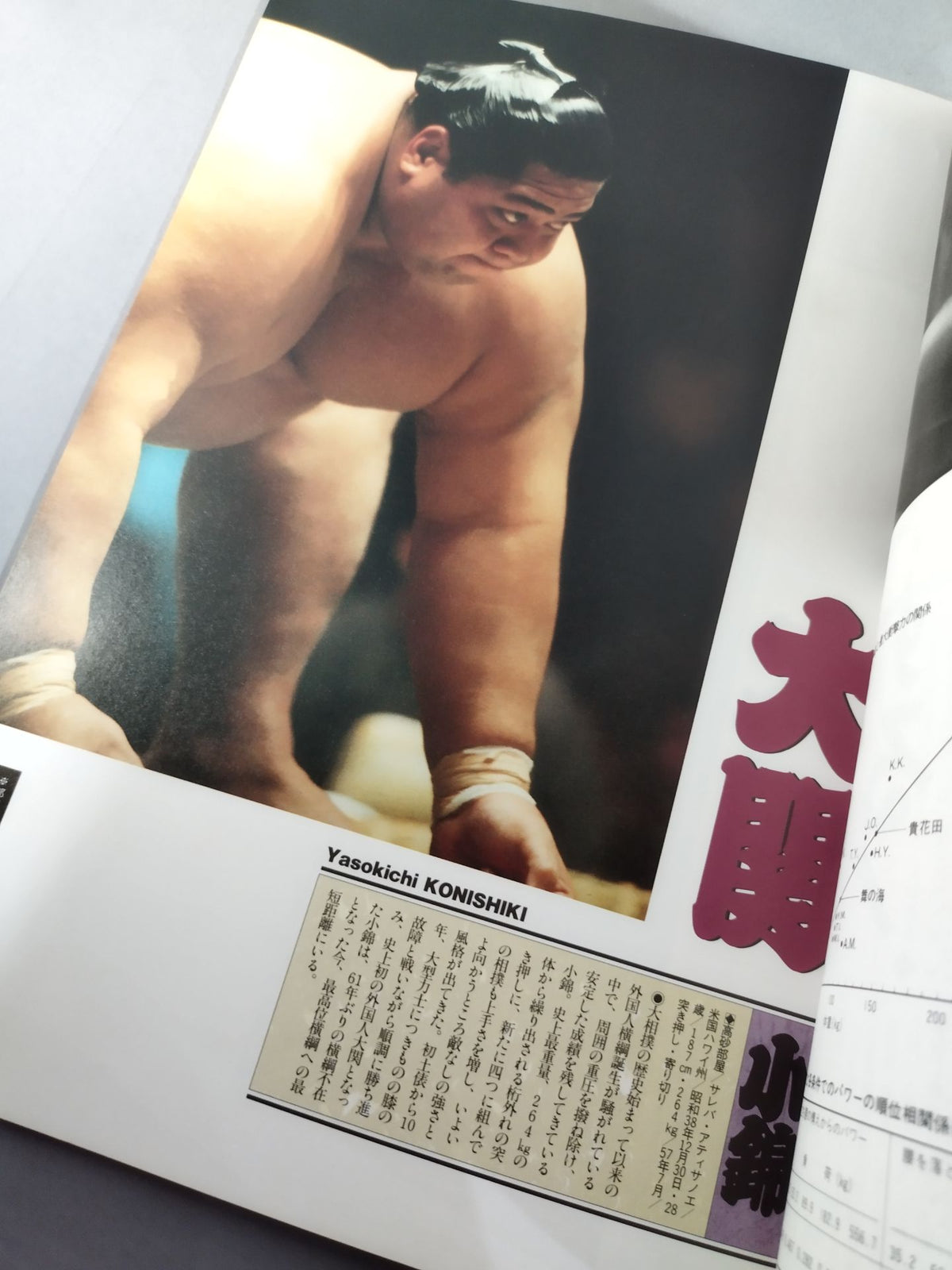 平成四年 大相撲勝抜優勝戦