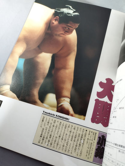 平成四年 大相撲勝抜優勝戦