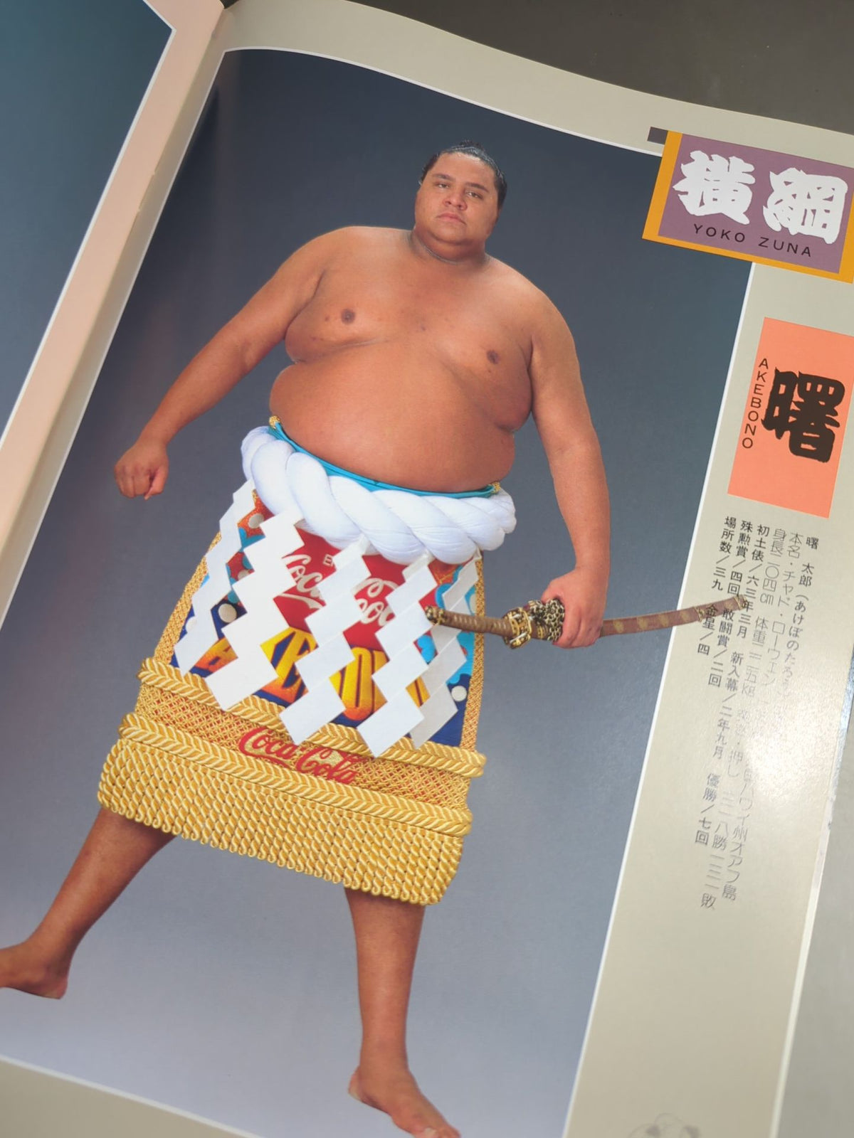 大相撲名古屋場所(1994年)