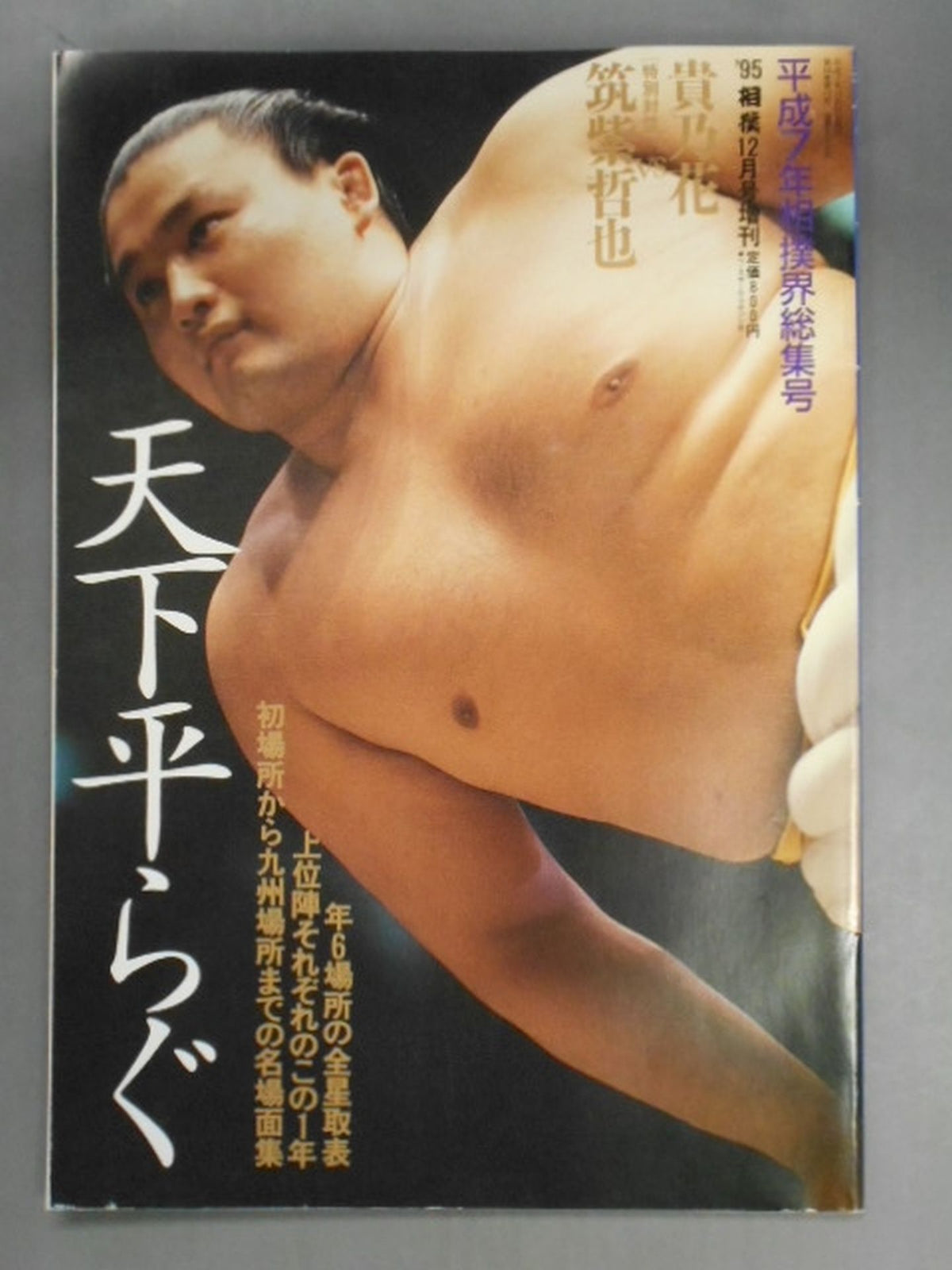 相撲 1995年12月号増刊