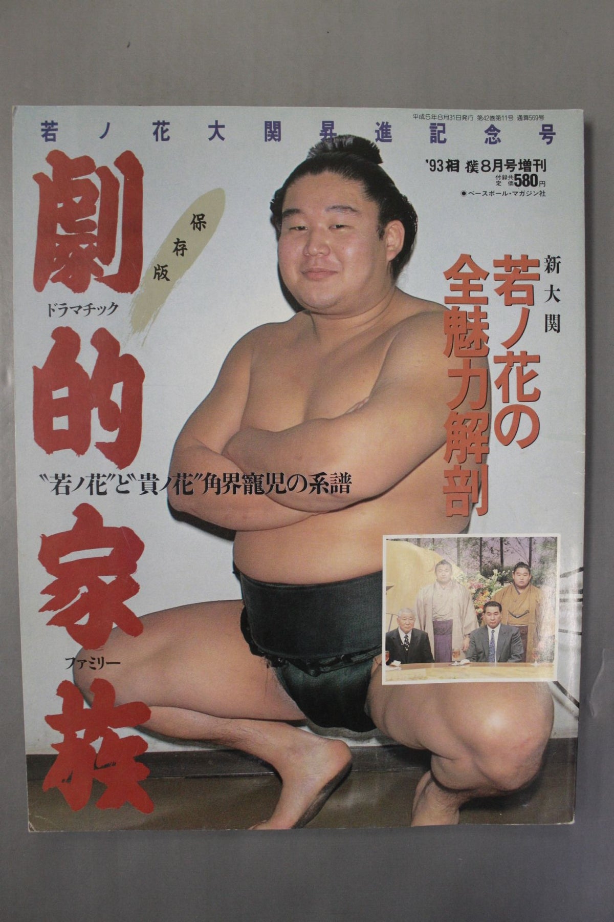 Sumo August 1993 issue supplement