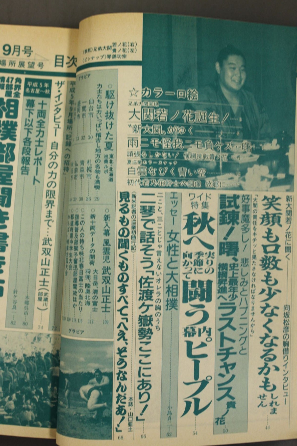 相撲 1993年9月号