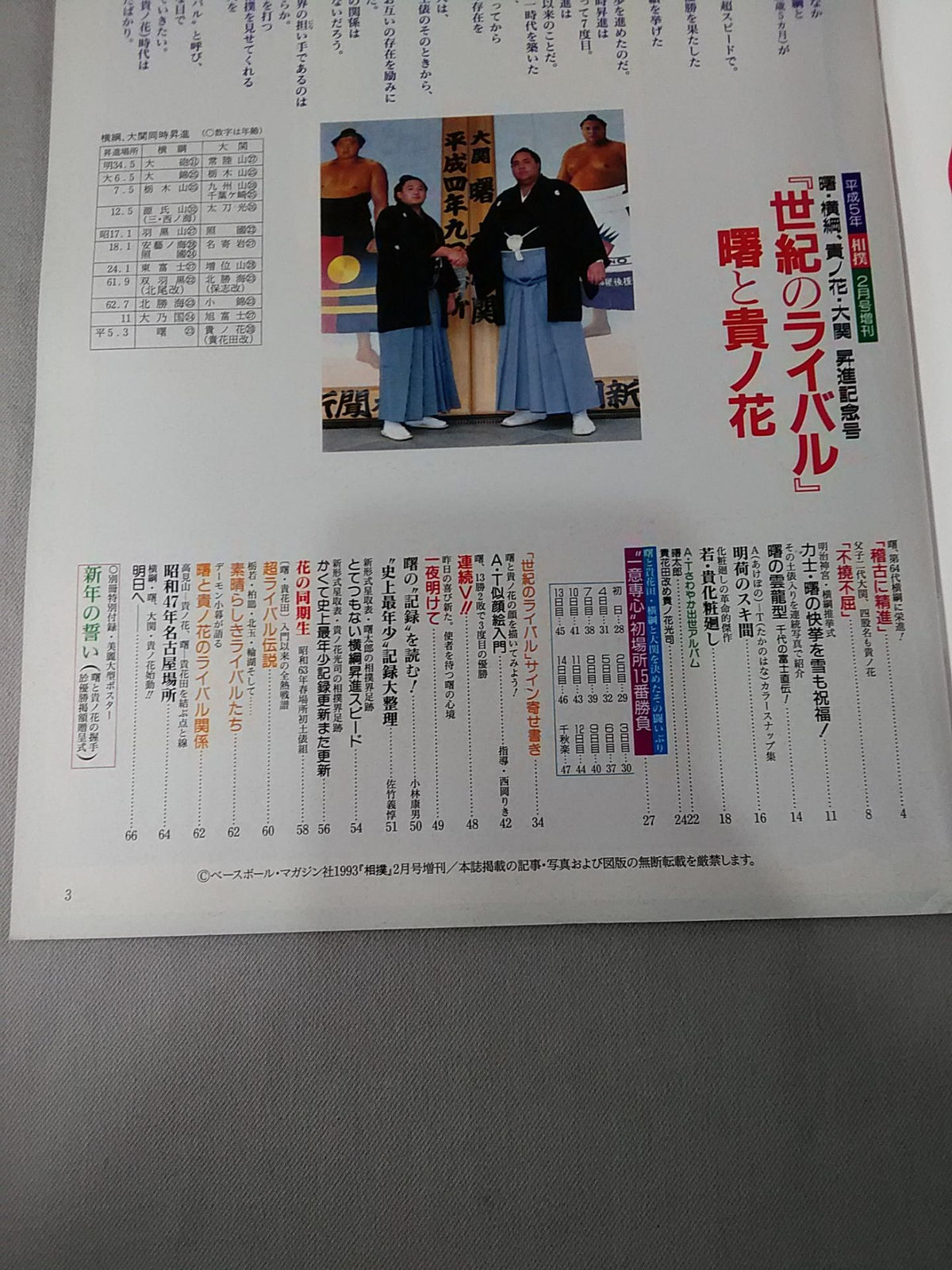 相撲 1993年2月号増刊